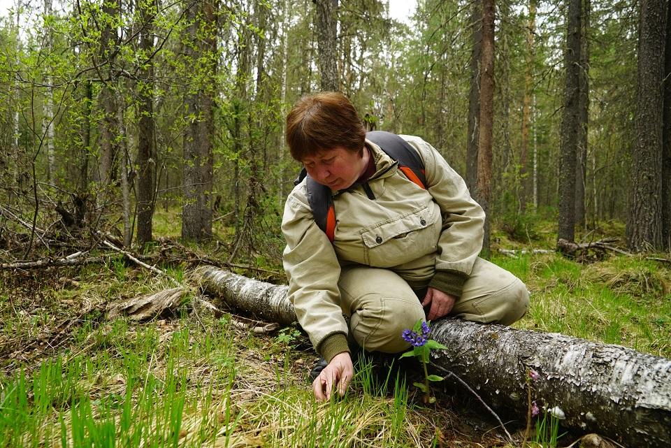 Галина Неустроева, лаборант-исследователь заповедника «Денежкин Камень»