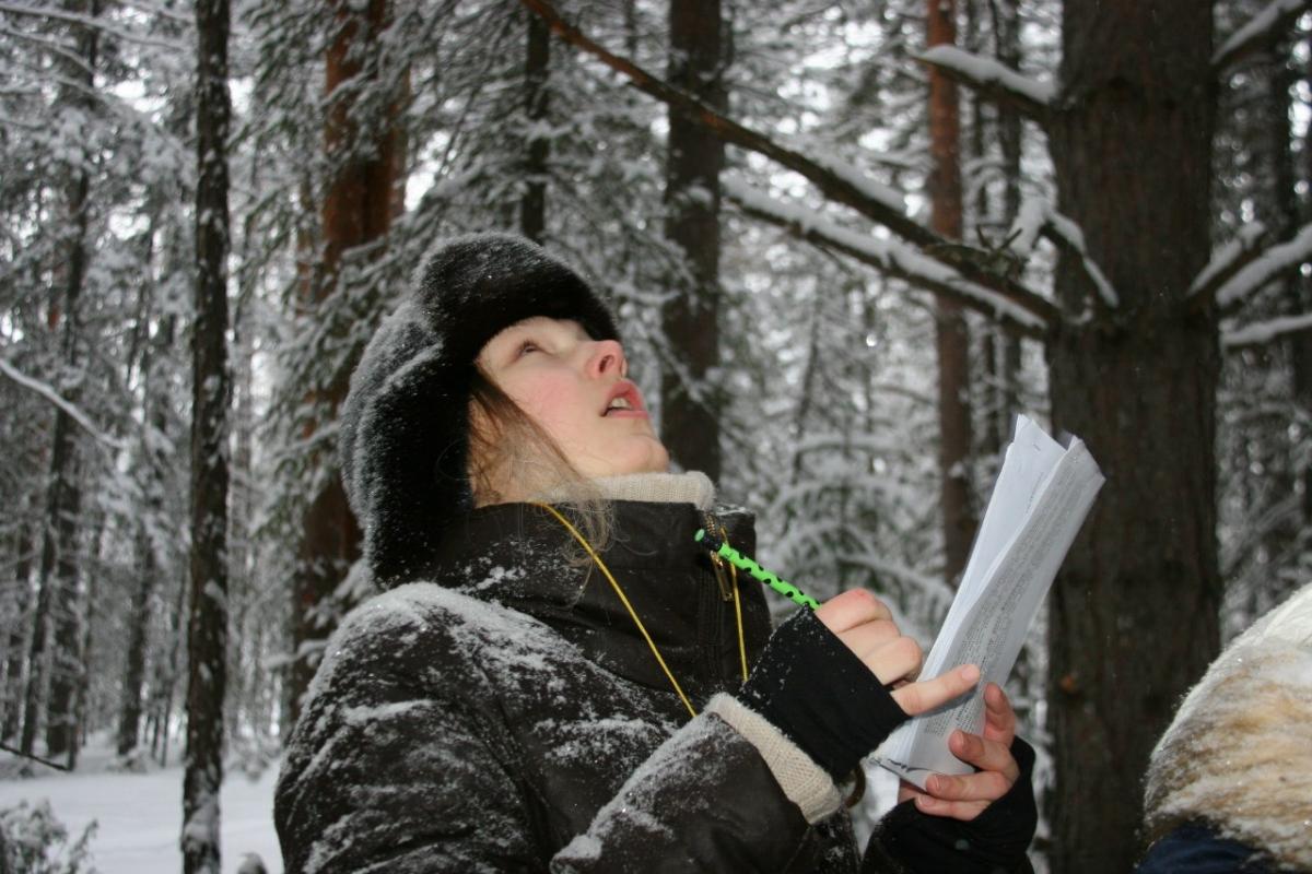 Какой же это дерево высоты???